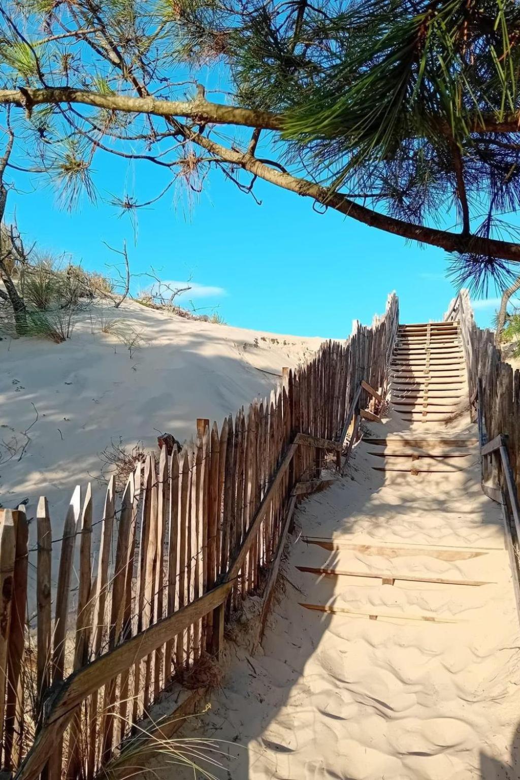 Holiday Home Les Pinasses By Interhome Mimizan-Plage Luaran gambar